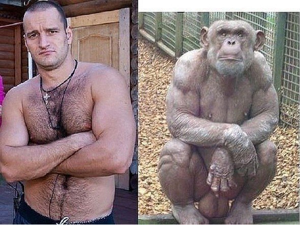 Похожи?