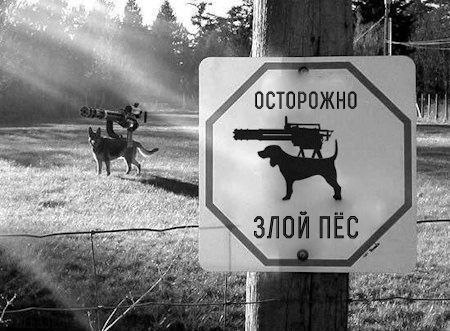 ОСторожно злой пёс